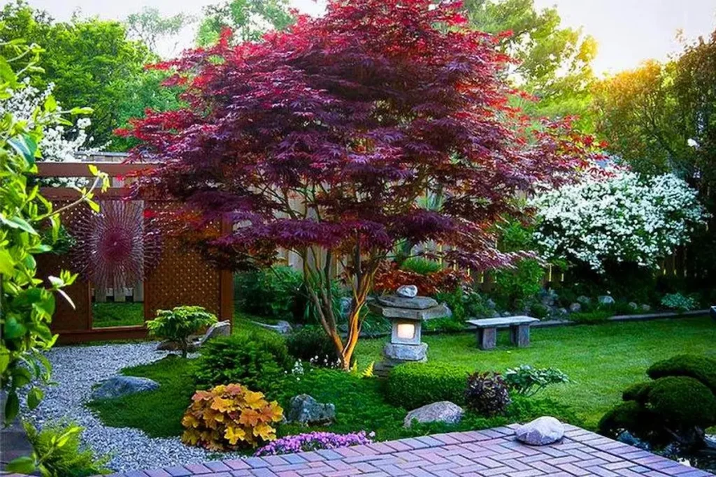 A vibrant red Japanese maple tree standing as a centerpiece in a Zen garden with a lit stone lantern and lush green moss beds.