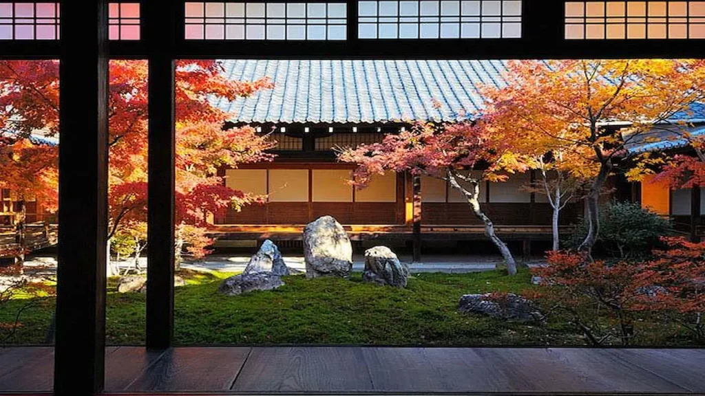 How to Design a Small Courtyard Garden: The Art of the Japanese Zen Ecosystem