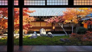 How to Design a Small Courtyard Garden: The Art of the Japanese Zen Ecosystem