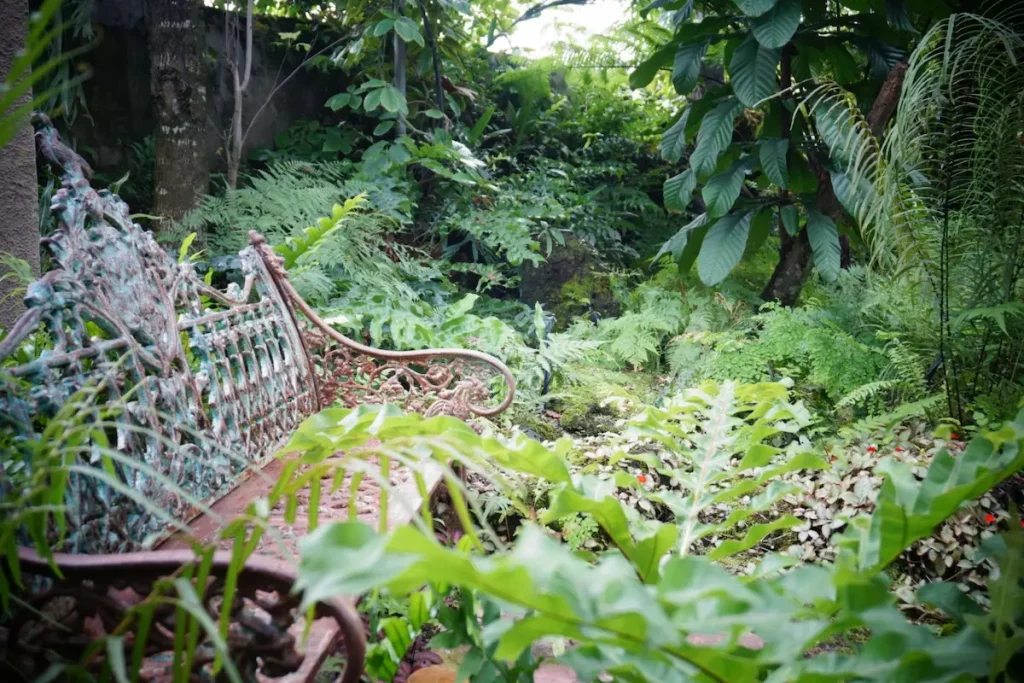 A lush shade garden filled with green ferns and tropical foliage behind a vintage ornate metal bench.