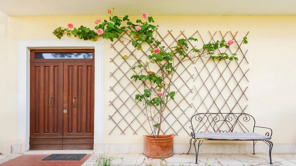 How to Design a Small Courtyard Garden: Building a Low-Care Ecosystem