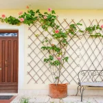How to Design a Small Courtyard Garden: Building a Low-Care Ecosystem
