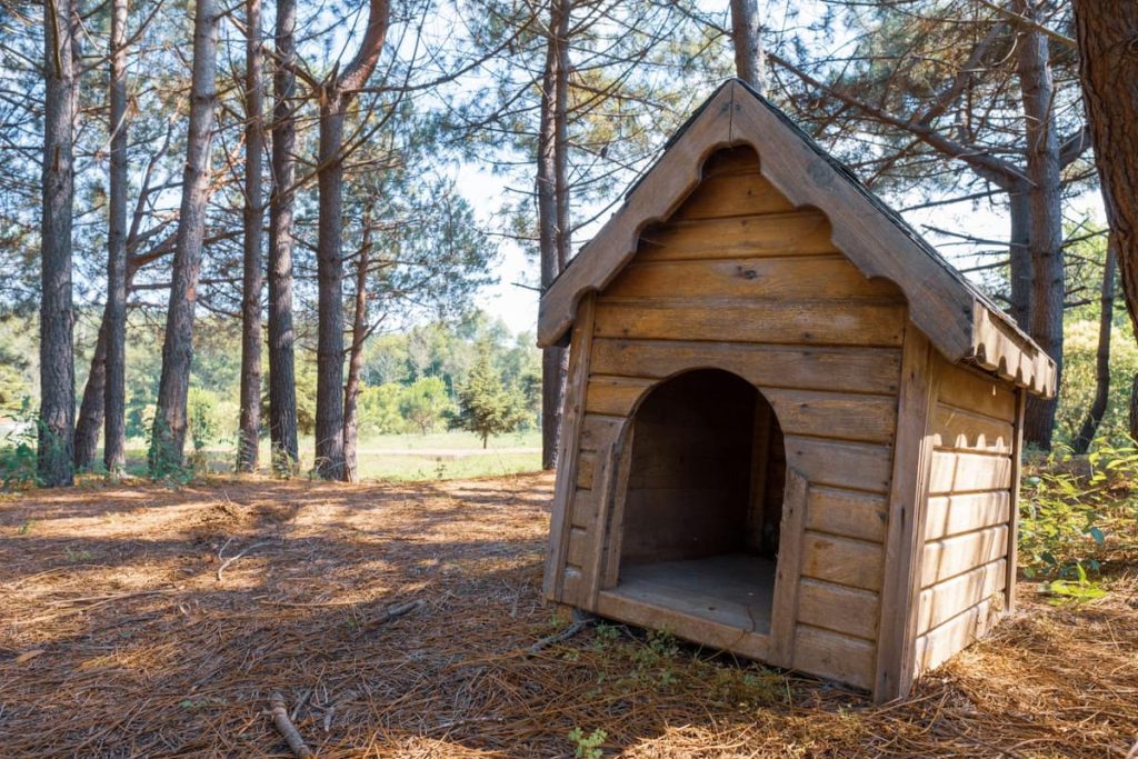 Modern grey timber dog house with an extended shingle roof and side porch, designed as a safe sheltered corner for sensitive breeds like Beagles.