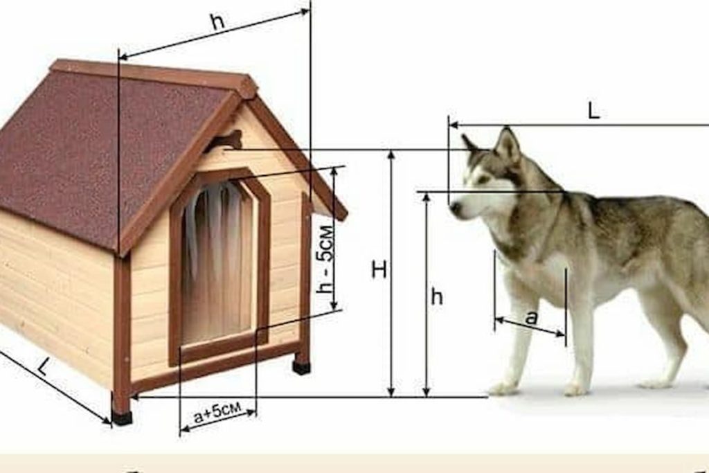 Detailed DIY dog house sizing chart for a Husky, showing measurement ratios for height, length, and entrance width to ensure proper ventilation and fit.